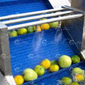 Fruit Washing Sorting Machine Mango Dryer Machine Fruit Drying Machinery 2