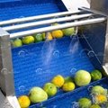 Fruit Washing Sorting Machine Mango Dryer Machine Fruit Drying Machinery