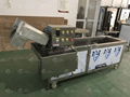 Fruit Washing Sorting Machine Mango Dryer Machine Fruit Drying Machinery 4