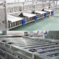 Fruit Washing Sorting Machine Mango Dryer Machine Fruit Drying Machinery 7