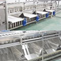 Fruit Washing Sorting Machine Mango Dryer Machine Fruit Drying Machinery 8