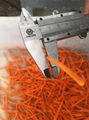 Root Vegetable Peeling and Washing Machine Korean Carrot Cutting Machine