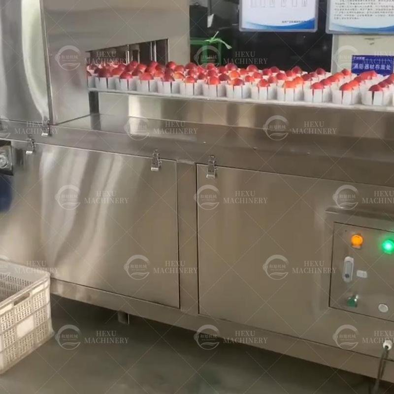 Automatic Fruit Pitting Machine Fruit Bubble Washing Machine 500kg 2