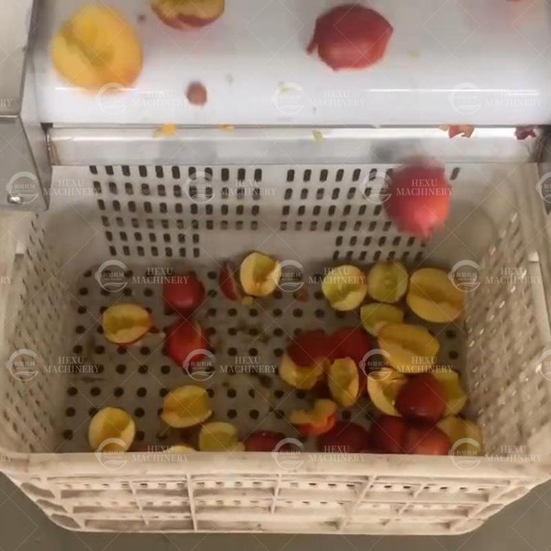 Automatic Fruit Pitting Machine Fruit Bubble Washing Machine 500kg 3