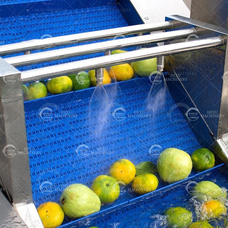 Automatic Fruit Pitting Machine Fruit Bubble Washing Machine 500kg 5