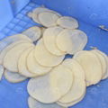 chips frying equipment banana slicers industrial machine plantain banana chip 4