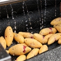  root vegetable fruit ginger yam vegetable-cutter cassava peeling machine 4