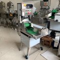 cassava processing peeling chipping machine cassava chips making machine 6