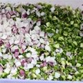 Onion Root Cutting And Peeling Machine Onion Dicer Slicer Vegetable Dicer  9