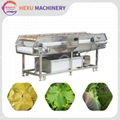 Vegetable Fruit Washing Cleaning Machine Soft Brush Grape Leaves Washing Machine 1