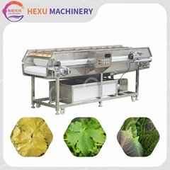 Vegetable Fruit Washing Cleaning Machine Soft Brush Grape Leaves Washing Machine