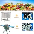 Eggplant Cube Dicer Dicing Machine Vegetable and Fruit Separating Machine