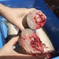 Fish Head Cutting Tilapia Fillet Filleting Machine  Fish Skin Peeler 3