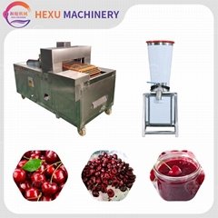  cherry pitting machine cherry pulp juice making machine