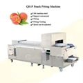 peach stoning machine yellow peach pitting cutting separating machine 2