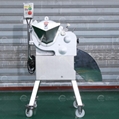 carrot peeling and cutting machine carrot cubes cutting machine  5