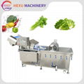 Vegetable Air Bubble Cleaning Machine Broccoli Ultrasound Washing Machine