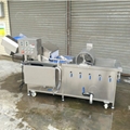 Vegetable Air Bubble Cleaning Machine Broccoli Ultrasound Washing Machine 3