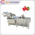 Ultrasonic Bubble Washing Machine Myrica Rubra Bayberry Cleaning Machine   1