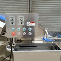 Ultrasonic Bubble Washing Machine Myrica Rubra Bayberry Cleaning Machine   3