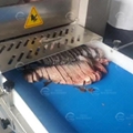 Chicken Cutter Fish Separating Machine Fish Block Cutting Machine 3