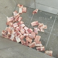 Automatic Frozen Meat Washing Machine/Beef Ribs Bubble Washing Machine 5