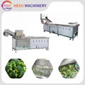 Broccoli Processing Machine Broccoli Blanching and Washing Machine