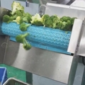 Broccoli Processing Machine Broccoli Blanching and Washing Machine 6