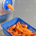 Carrot Peeling Shredding Machine Carrot Peeled Carrot Strip Cutting Machine