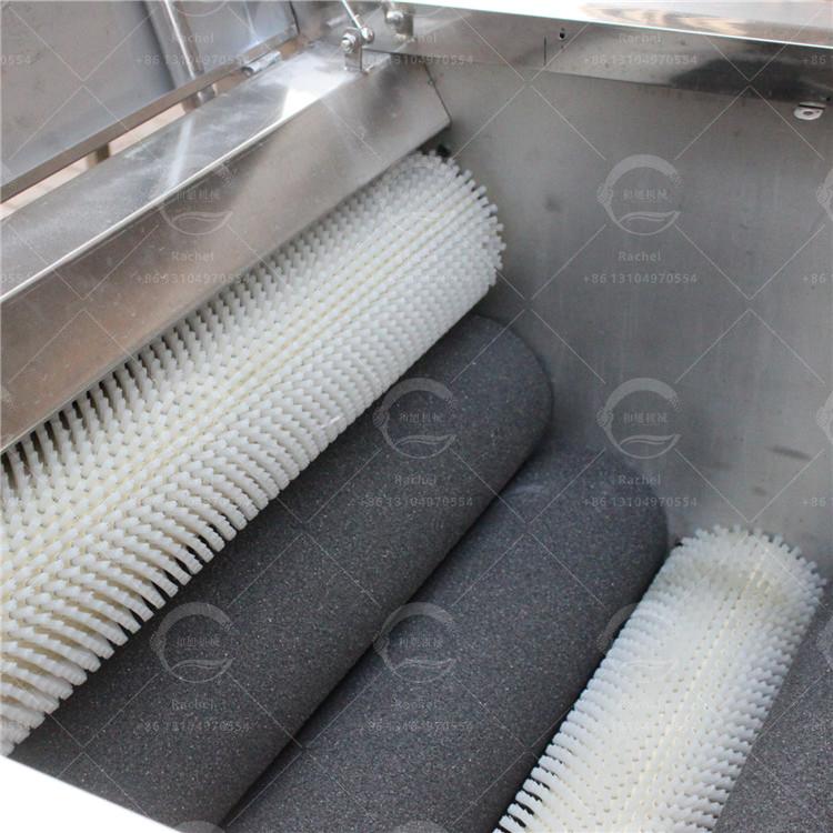 Potato Peeler Washer Vegetable Slicer Potato Chips Making Machine 2