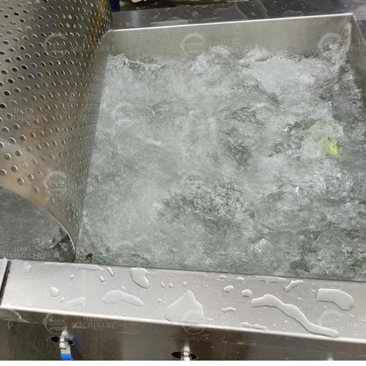 Vegetable Dewatering Machine Fruit Washer Bubble Washing Machine 2
