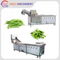 Green Beans Washer Soybean Pre-cooking