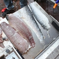 Electric Salmon Fish Skin Peeling Skinning Removing Machine 15