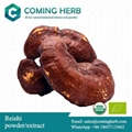 Ganoderma lucidum, Reishi powder, Reishi