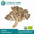 Maitake extract, Maitake powder/Grifola frondosa extract/Organic Maitake extract 1