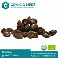 Shiitake extract, Shiitake beta glucan, Shiitake powder, Lentinus edodes extract