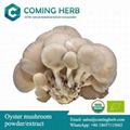 Oyster mushroom, Pleurotus ostreatus extract and powder