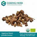 Agaricus blazei extract, Agaricus blazei