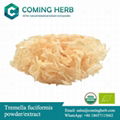 Tremella fuciformis extract, Tremella