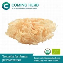 Tremella fuciformis extract, Tremella fuciformis powder