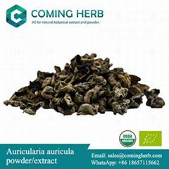 Auricularia auricula, Black fungus extract, Black fungus powder