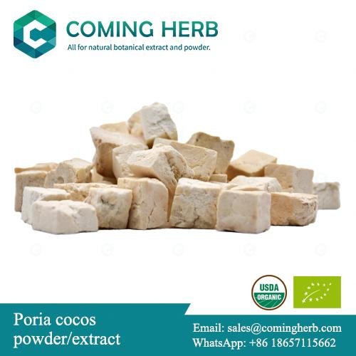 Poria cocos extract, Hoelen powder, Poria cocos powder, Indian Buead