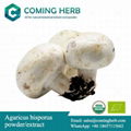 Agaricus bisporus extract, White button mushroom powder 1