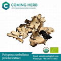 Polyporus umbellatus extract, Zhu Ling