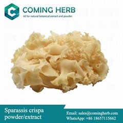 Sparassis crispa extract, Sparassis crispa powder, Cauliflower fungus