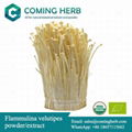 Flammulina velutipes extract, Enokitake powder, Velvet shank, Enoki mushroom  1