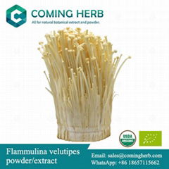 Flammulina velutipes extract, Enokitake powder, Velvet shank, Enoki mushroom