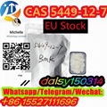 BMK POWDER OIL CAS 5449-12-7