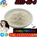 BMK POWDER OIL CAS 5413-05-8 4