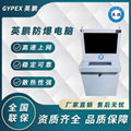 广州英鹏高速上网防爆电脑YP-E21.5/AS 1